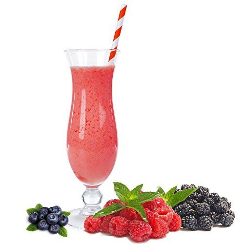 Waldfrucht Molkepulver Luxofit mit L-Carnitin Protein angereichert Aspartamfreier Wellnessdrink (10 kg) von Luxofit Deutschland