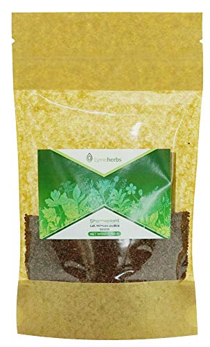 Mimosa Pudica Getrocknete Samen, 100g Mimosa Pudica Getrocknete Samen, 100g von Lymeherbs