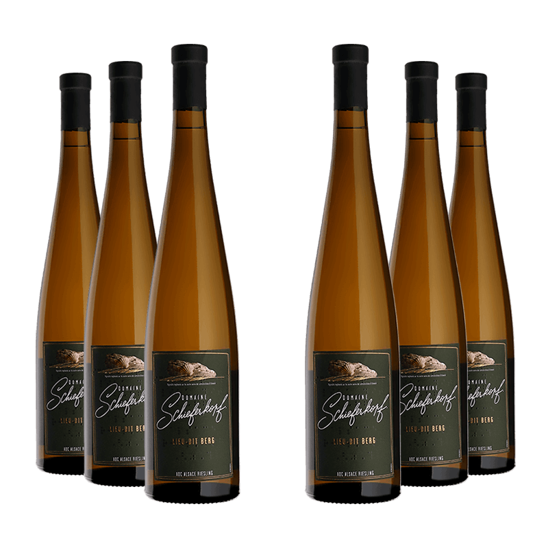 M. Chapoutier : Riesling "Lieu-dit Berg" Domaine Schieferkopf 2022 M. Chapoutier : Riesling "Lieu-dit Berg" Domaine Schieferkopf 2022 von M. Chapoutier