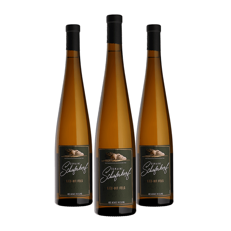 M. Chapoutier : Riesling "Lieu-dit Fels" Domaine Schieferkopf 2024 M. Chapoutier : Riesling "Lieu-dit Fels" Domaine Schieferkopf 2024 von M. Chapoutier