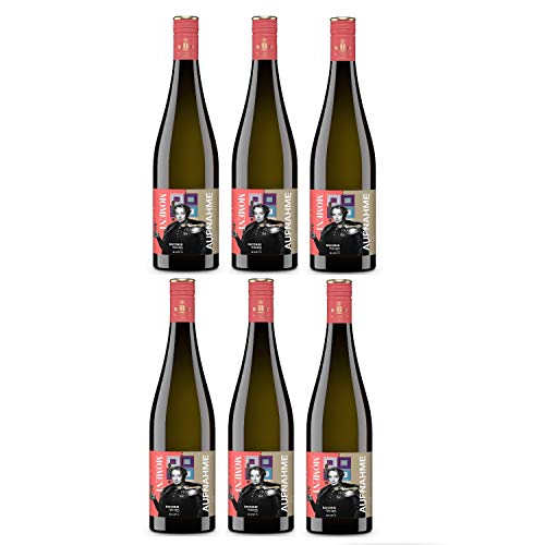 Markgraf von Baden Moment-Aufnahme Bacchus Weißwein Wein feinherb Deutschland (6 Flaschen) von Markgraf von Baden