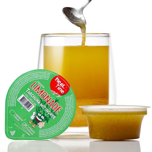 MEALTIME 24x60g Limonadenkonzentrat Estragon mit Ingwer - 100% natürliches Getränke-Konzentrat zum kalt aufgießen - Früchte Trinkkonzentrat hochwertig & zusatzfrei von MEALTIME