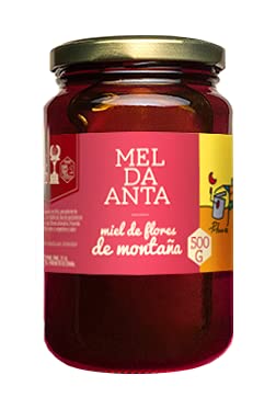 Anta-Honig - Gebirgsblütenhonig aus Galizien, wenig süß, sehr würzig, 500g von MIELES ANTA