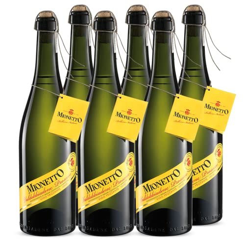 Mionetto Prosecco Valdobiaddene DOCG Spago Frizzante (6 x 0,75 l) Hochwertiger Frizzante aus dem renommierten DOCG Anbaugebiet, extra trocken, frisch und fruchtig im Geschmack von MIONETTO