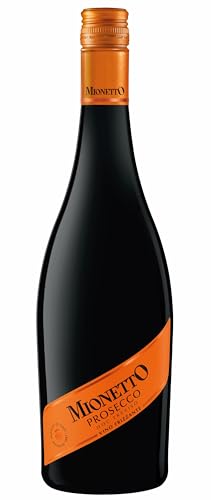 Mionetto Prosecco DOC Treviso Frizzante (1 x 0,75 l) - Fruchtig-frischer Perlwein aus der renommierten italienischen Provinz Treviso, Glera, halbtrocken von MIONETTO