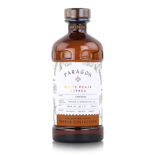 Monin Paragon Timur Berry Cordial (1 x 485 ml) von MONIN