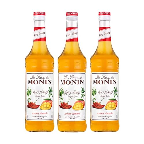 Monin Sirup Spicy Mango, 0,7L, 3er Pack von MONIN