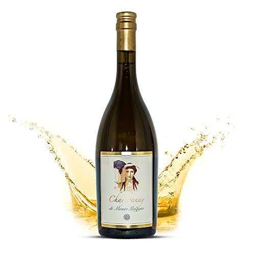 Chardonnay di Montemaggio - Toskanischer Bio-Weißwein - Trockener Luxuriöser Edler Bio - 100% Chardonnay - Wein aus Italien - Glaskorken - Fattoria di Montemaggio - 0.75L von MONTEMAGGIO
