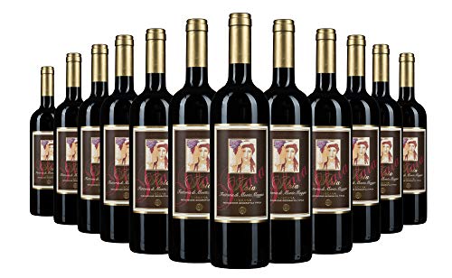 Ilaia di Montemaggio - Rotwein Bio - Super Toskanischer Luxuriöser Edler Bio - 100% Pugnitello - Wein aus Italien - Fattoria di Montemaggio - 0.75L - 12 Flaschen von MONTEMAGGIO