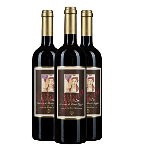 Ilaia di Montemaggio - Rotwein Bio - Super Toskanischer Luxuriöser Edler Bio - 100% Pugnitello - Wein aus Italien - Fattoria di Montemaggio - 0.75L - 3 Flaschen von MONTEMAGGIO