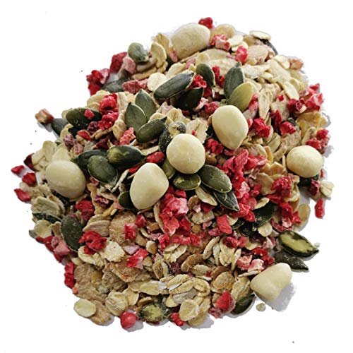 100% BIO Porridge I High Protein Haferflocken für Sportler I Sonnenblumen Protein und Chia Samen I Bio Müsli I 1500g 100% BIO Porridge I High Protein Haferflocken für Sportler I Sonnenblumen Protein und Chia Samen I Bio Müsli I 1500g von MÜSLI MÜHLE Kernig Kornig Knusprig