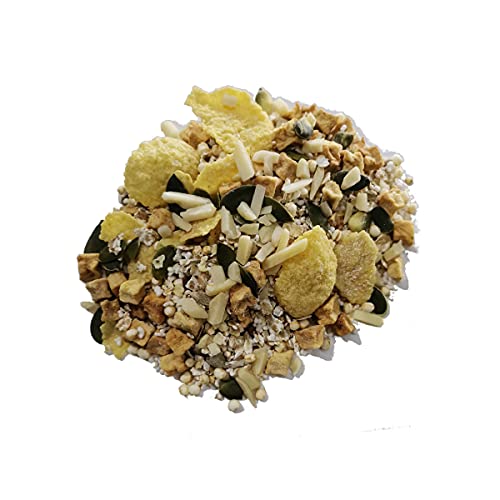 BIO BUCHWEIZEN MÜSLI Apfel Nuss I Glutenfrei I ohne Zuckerzusatz (enthält von Natur aus Zucker) I Amaranth & Quinoa I I Mandeln I Buchweizen I 1000g von MÜSLI MÜHLE Kernig Kornig Knusprig