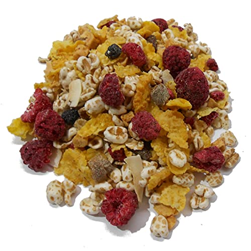 BIO FRUCHT POWER MÜSLI I 23% Früchte I ohne Zuckerzusatz (enthält von Natur aus Zucker) I Vegan I gefriergetrocknete Himbeeren I Cornflakes I ohne Nüsse I 1000g von MÜSLI MÜHLE Kernig Kornig Knusprig