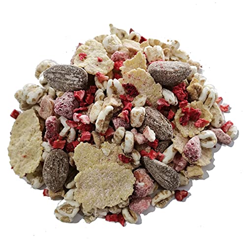 BIRCHER HERBSTGARTEN BIO MÜSLI mit gefriergetrockneten Erdbeeren I Haferkleie I Mandel & Haselnuss I Haferflocken I Vegan I 1500g von MÜSLI MÜHLE Kernig Kornig Knusprig