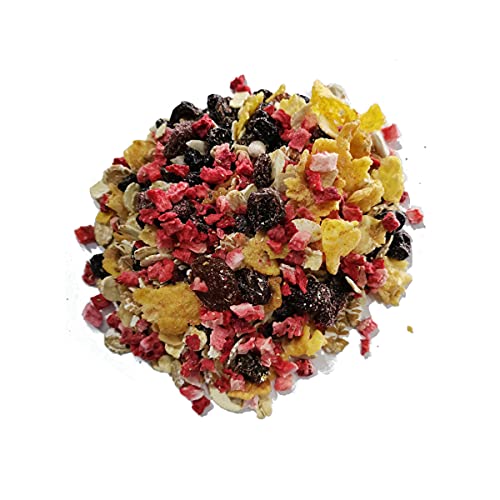 ERDBEER BIO MÜSLI I 5% gefriergetrocknete Frucht I ohne Zuckerzusatz (enthält von Natur aus Zucker) I Vegan I Haferflocken I Weinbeeren I 1000g von MÜSLI MÜHLE Kernig Kornig Knusprig