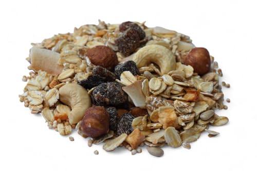 HAFERFLOCKEN Früchte Nuss BIO Müsli I mit vielen Früchten I ohne Zuckerzusatz (enthält von Natur aus Zucker) I Vegan I Amaranth I Kokoschips I 1000g von MÜSLI MÜHLE Kernig Kornig Knusprig