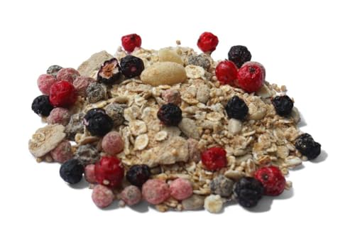 Müsli Mühle Superfood Protein Bio Müsli | Glutenfreies High Protein Müsli | Veganes Frühstück ohne Zuckerzusatz | Proteinreiches Müsli für Muskelaufbau & Fitness | 2500g von MÜSLI MÜHLE Kernig Kornig Knusprig
