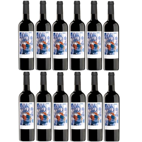 Macià Batle Colleccion Privada Santa Maria Del Cami Rotwein Wein trocken Spanien Inkl. FeinWert E-Book (12 x 0,75l) von Macià Batle