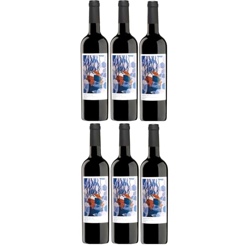 Macià Batle Colleccion Privada Santa Maria Del Cami Rotwein Wein trocken Spanien Inkl. FeinWert E-Book (6 x 0,75l) von Macià Batle