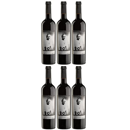 Macia Batle Reserva Privada Rotwein Cuvée Wein Trocken aus Mallorca I Versanel Paket (6 x 0,75l) von Macià Batle