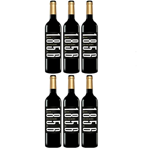 Macia Batle Tinto 1856 Rotwein Cuvée Wein Trocken aus Mallorca I Versanel Paket (6 x 0,75l) von Macià Batle