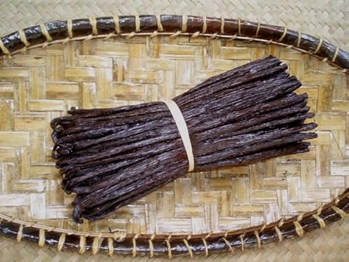 15-16cm Bourbon Vanilleschoten 400g - von Madavanilla