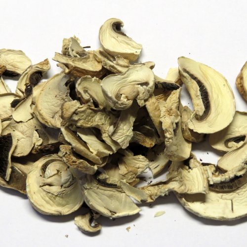 15g Bio Champignons getrocknet - 15g Bio Champignons getrocknet - von Madavanilla
