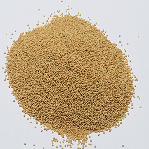 Bio Amaranth Samen - Körner natur - 100g - DE-ÖKO-005 - Bio Amaranth Samen - Körner natur - 100g - DE-ÖKO-005 - von Madavanilla