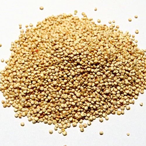 Bio Quinoa - Quinoasamen - 100g - DE-ÖKO-005 - von Madavanilla
