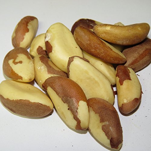 PARANUSSkerne, 100g - PARANUSSkerne, 100g - von Madavanilla