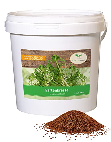 1 kg frische Kresse Samen - Gartenkresse - Microgreens für die Küche im Vorratseimer von Magic of Nature