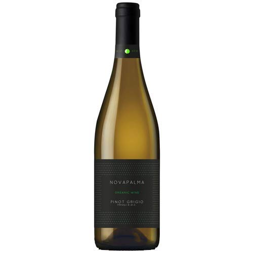 Maia Pinot Grigio Bio DOC (DE-ÖKO-006) (1 x 0,75 l) von Maia