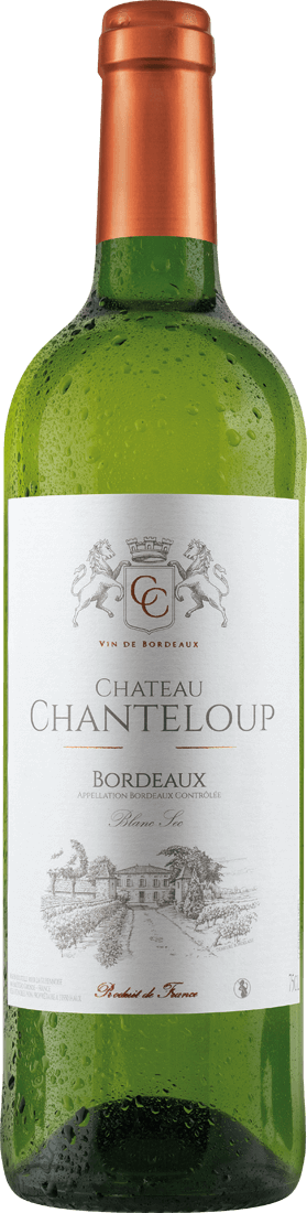 Château Chanteloup Bordeaux Blanc AOC 2021 von Le Star