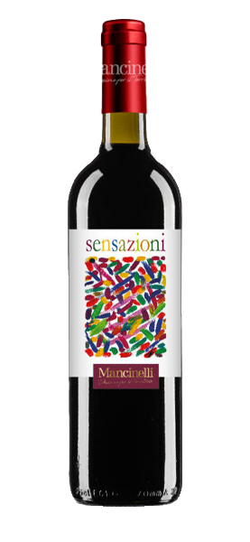 "Sensazioni di Frutto" Lacrima di Morro d'Alba DOC 2021 "Sensazioni di Frutto" Lacrima di Morro d'Alba DOC 2021 von Mancinelli