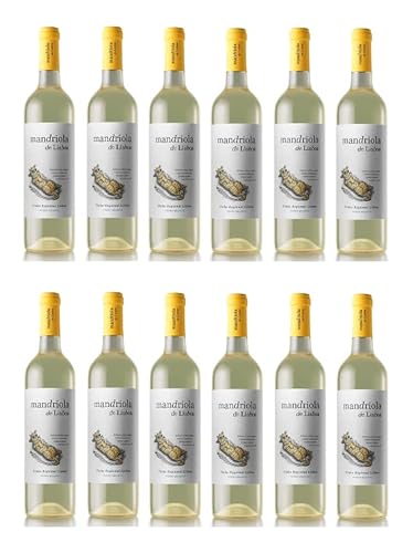 12x 0,75l - Mandriola de Lisboa - Vinho Branco - Vinho Regional Lisboa - Portugal - Weißwein trocken 12x 0,75l - Mandriola de Lisboa - Vinho Branco - Vinho Regional Lisboa - Portugal - Weißwein trocken von Mandriola de Lisboa