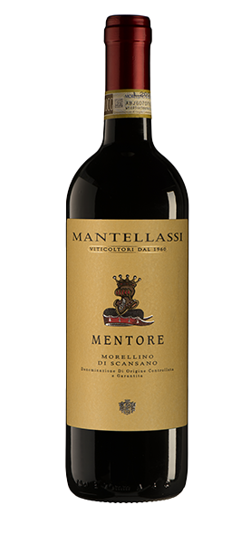 "Mentore" Morellino di Scansano DOCG 2023 "Mentore" Morellino di Scansano DOCG 2023 von Mantellassi