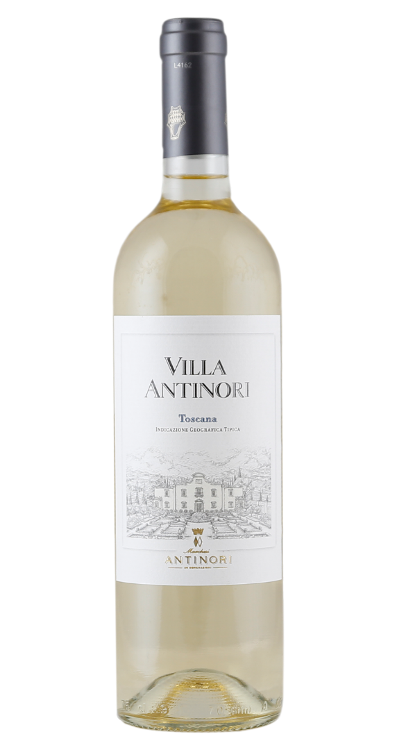 Villa Antinori Bianco 2024 Villa Antinori Bianco 2024 von Marchesi Antinori