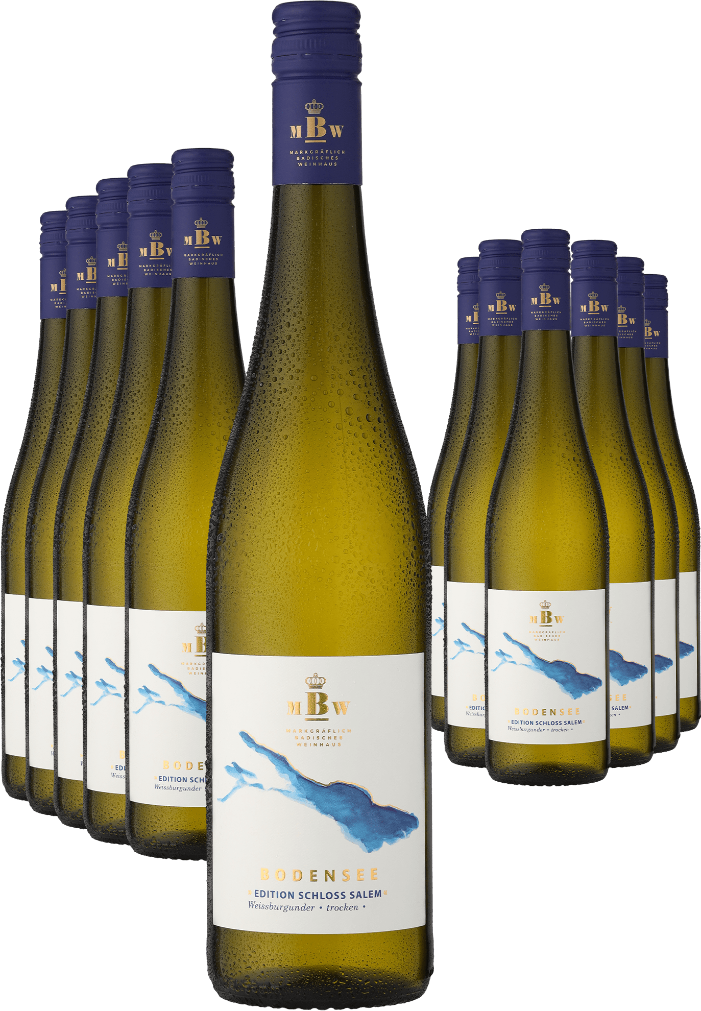 6+6-PAKET Markgräflich Badisches Weinhaus Bodensee »Edition Schloss Salem« Weißburgunder 2023 6+6-PAKET Markgräflich Badisches Weinhaus Bodensee »Edition Schloss Salem« Weißburgunder 2023 von Markgräflich Badisches Weinhaus