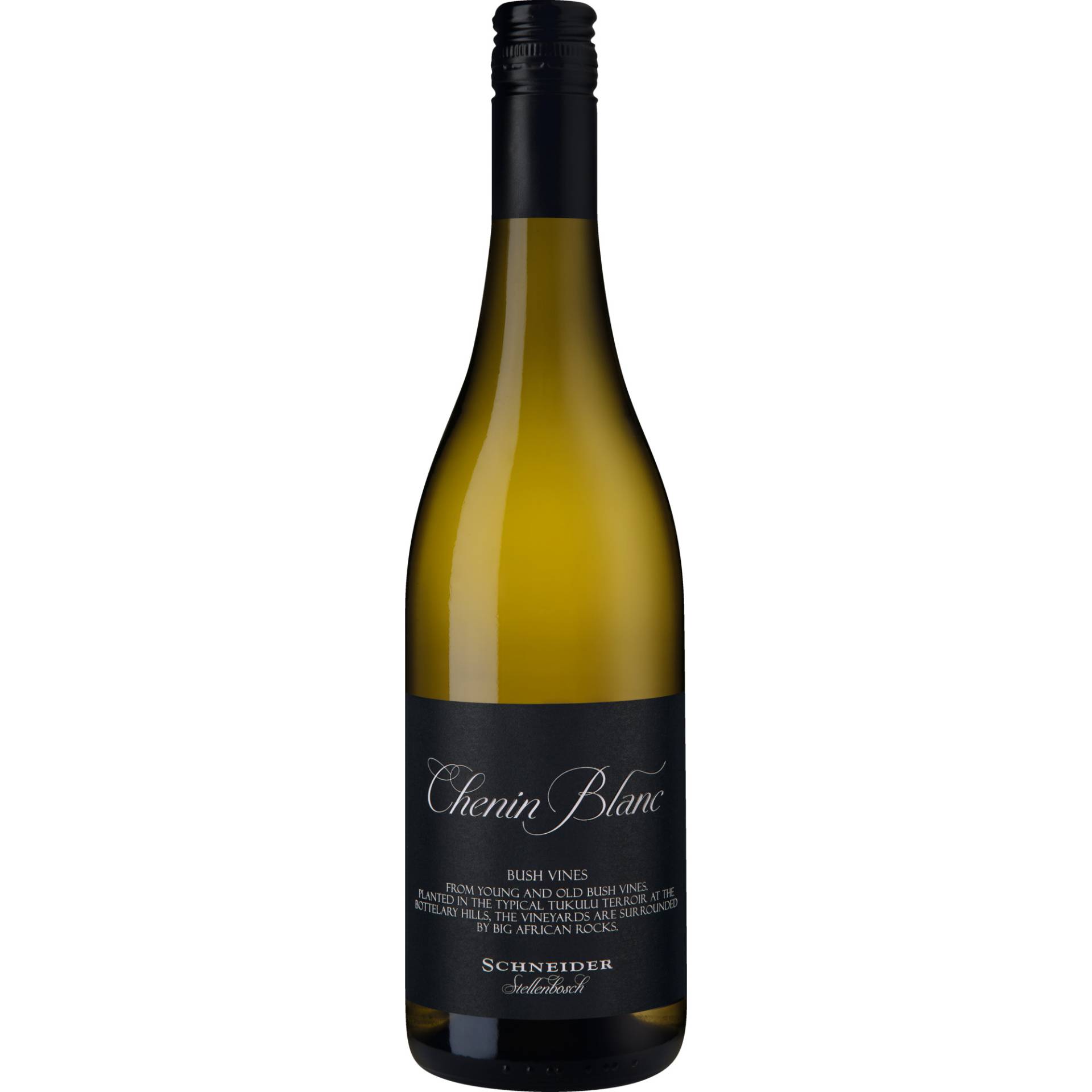 Markus Schneider Chenin Blanc Bush Vines, WO Stellenbosch, Western Cape, 2022, Weißwein Markus Schneider Chenin Blanc Bush Vines, WO Stellenbosch, Western Cape, 2022, Weißwein von Markus Schneider GbR , Am Hohen Weg 1 , 67158 Ellerstadt, Deutschland