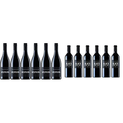 Markus Schneider Ursprung Rotwein Wein trocken (6 x 0,75l) & Black Print Cabernet Sauvignon Rotwein Wein trocken Pfalz (6 x 0,75l) von Markus Schneider
