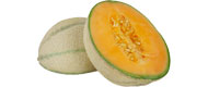 Melonen Charentais von Marokko