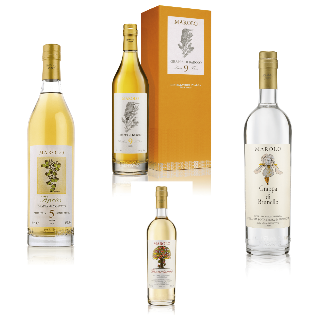 Marolo Grappa Set Marolo Grappa Set von Marolo Grappa