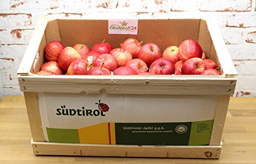 Äpfel Süd Tirol Royal Gala Aktuell Ernte - frische Apfel Holz Kiste 15 Kg von Maroni