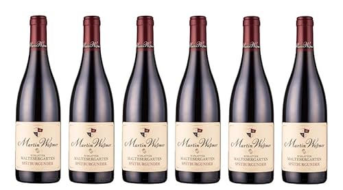 6x 0,75l - 2021er - Martin Waßmer - Schlatter Maltesergarten - Spätburgunder - Qualitätswein Baden - Deutschland - Rotwein trocken von Martin Waßmer