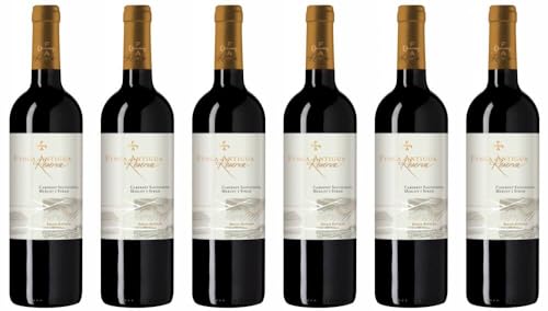 6x Finca Antigua Reserva Estate Bottled 2016 - Martinez Bujanda - Finca Antigua, Castilla-La Mancha - Rotwein von Martinez Bujanda - Finca Antigua