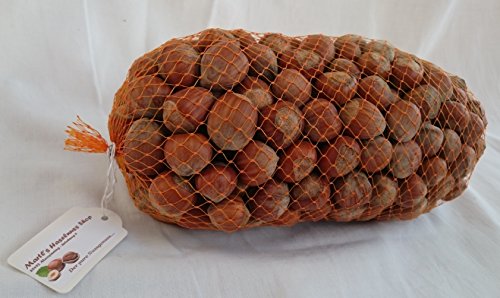 Haselnüsse Premium XL - Aus Deutschland! - Nüsse in der Schale - 3Kg Haselnüsse Premium XL - Aus Deutschland! - Nüsse in der Schale - 3Kg von Martls Haselnuss Shop