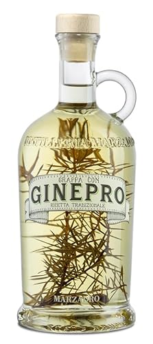 Grappa le Erbe Ginepro 40° Distilleria Marzadro 0.50L … von Marzadro