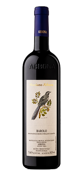 Barolo DOCG 2019 von Marziano Abbona