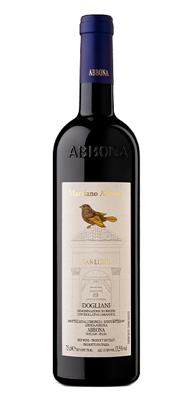 "San Luigi" Dogliani DOCG 2024 von Marziano Abbona
