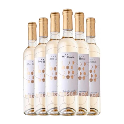 Mas Llunes Moscat Muscat Kleinem Korn Empordà Medium Flasche 50 cl (Schachtel mit 6 Medium Flasche von 50 cl) von Mas Llunes